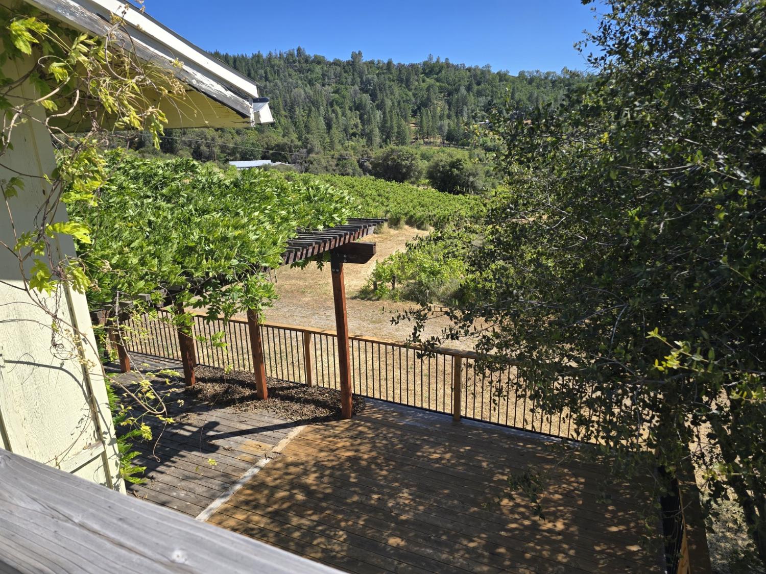 8221 Stoney Creek Road Somerset, CA 95684 - Photo 35 of 44 a view of a backyard with sitting area