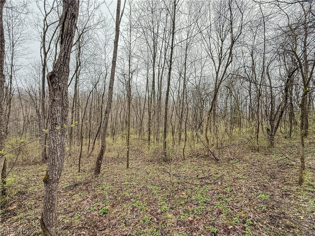 Buck Hill Road Frazeysburg, OH 43822 - Photo 6 of 24