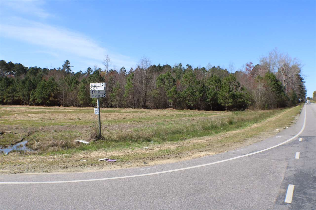 Thanksgiving Fire Road Selma, NC 27576 - Photo 5 of 16 NC HWY 42 E ROAD FRONTAGE