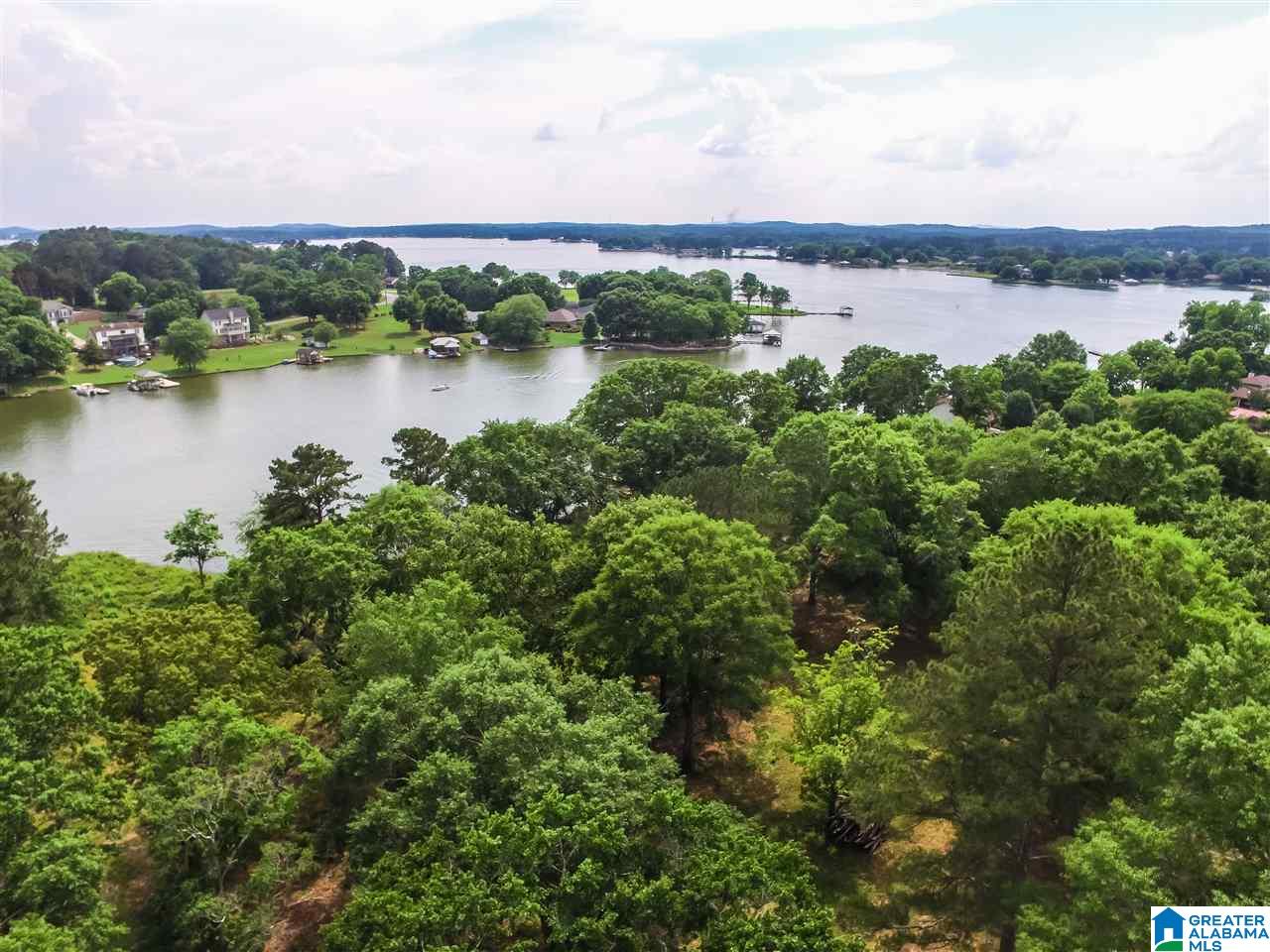 4808 Masters Road Pell City, AL 35128 - Photo 20 of 26
