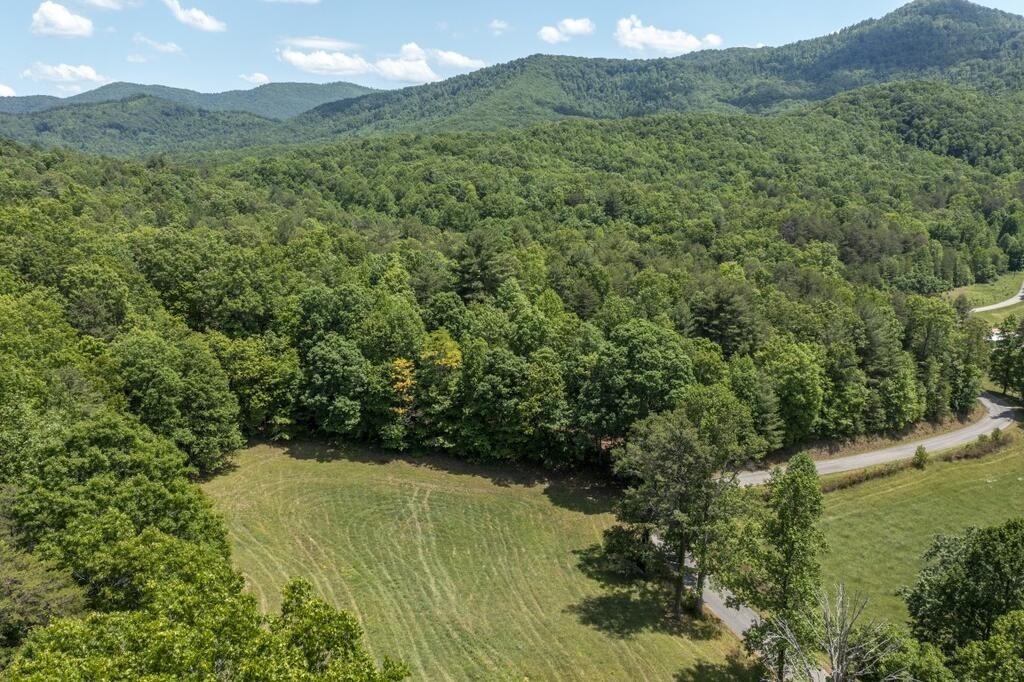0 Donley Road Murphy, NC 28906 - Photo 34 of 37 Gallery Image 34