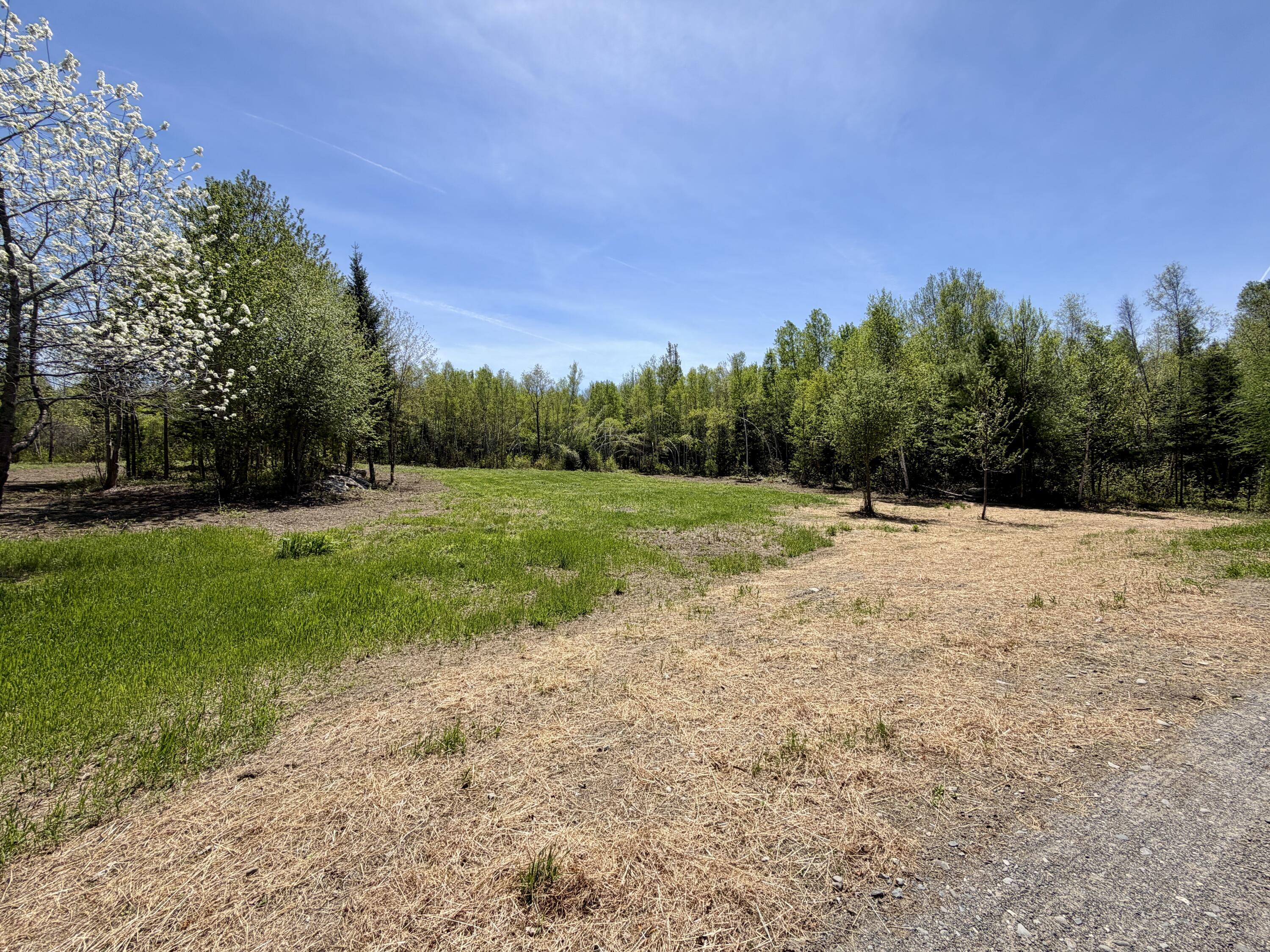 51 Big Boyd Lake Road Milo, ME 04463 - Photo 53 of 64 Grass is Growing