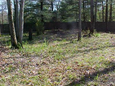 4338 Moore Road Allegan, MI 49010 - Photo 5 of 16 Additional Photo