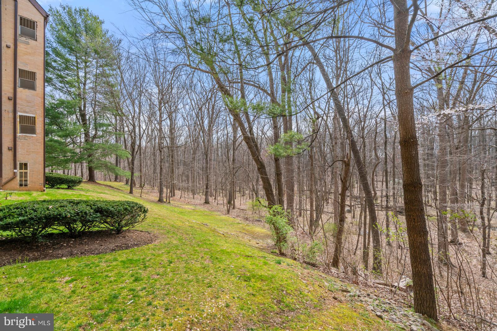 1675 Parkcrest Circle, Unit 400 Reston, VA 20190 - Photo 29 of 32