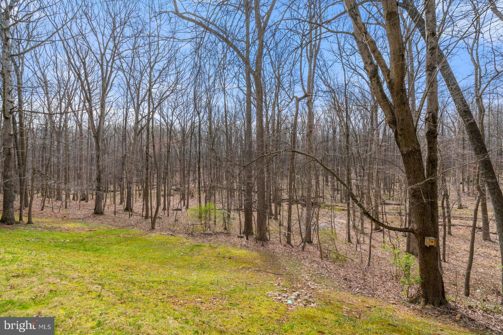 1675 Parkcrest Circle, Unit 400 Reston, VA 20190 - Photo 30 of 32