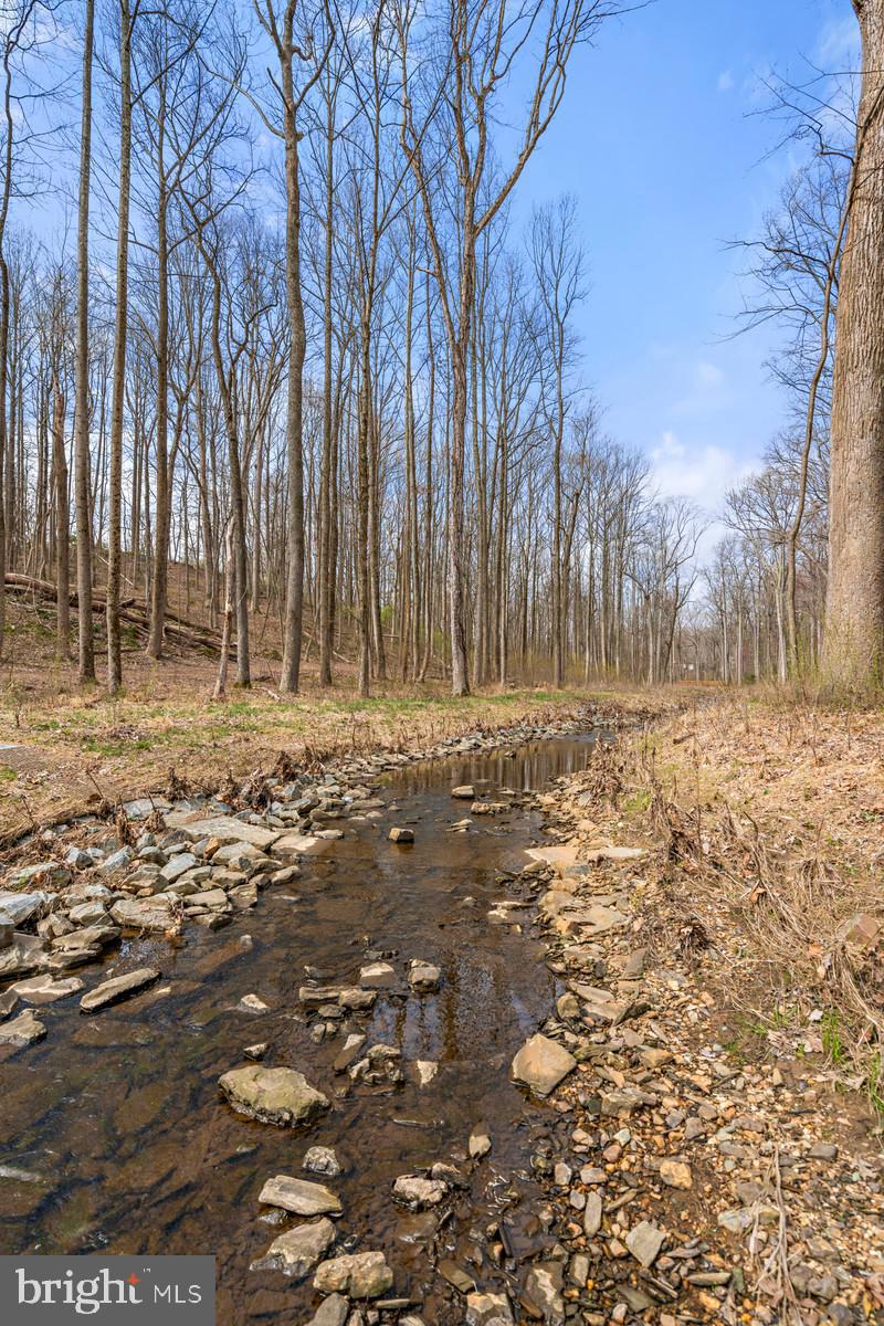 1675 Parkcrest Circle, Unit 400 Reston, VA 20190 - Photo 32 of 32