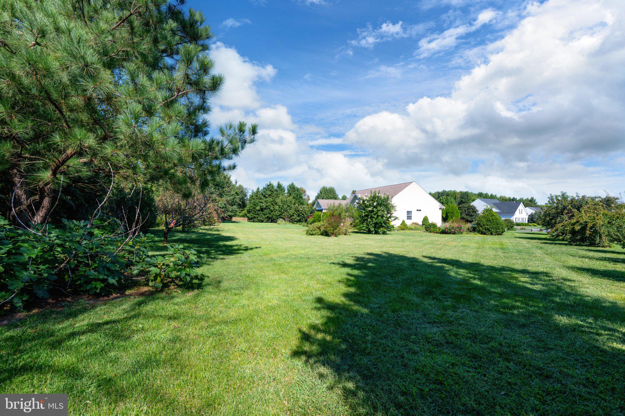 15002 Sandpiper Road Milton, DE 19968 - Photo 22 of 28 Gallery Image 22