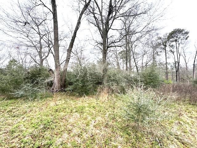 0 Potter Road Opp, AL 36467 - Photo 4 of 10 Gallery Image 4