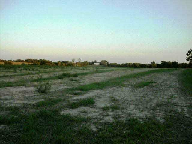 Tbd Burr Oak Road Capron, IL 61012 - Photo 2 of 2 a view of a grassy field with trees
