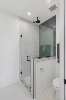 a bathroom with a shower and toilet