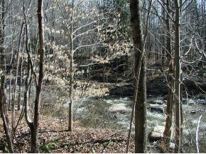Freeman Brook Road Mount Holly, VT 05758 - Photo 1 of 4 Gallery Image 1