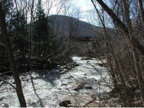 Freeman Brook Road Mount Holly, VT 05758 - Photo 2 of 4 Gallery Image 2