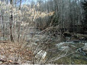 Freeman Brook Road Mount Holly, VT 05758 - Photo 3 of 4 Gallery Image 3