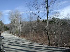 Freeman Brook Road Mount Holly, VT 05758 - Photo 4 of 4 Gallery Image 4