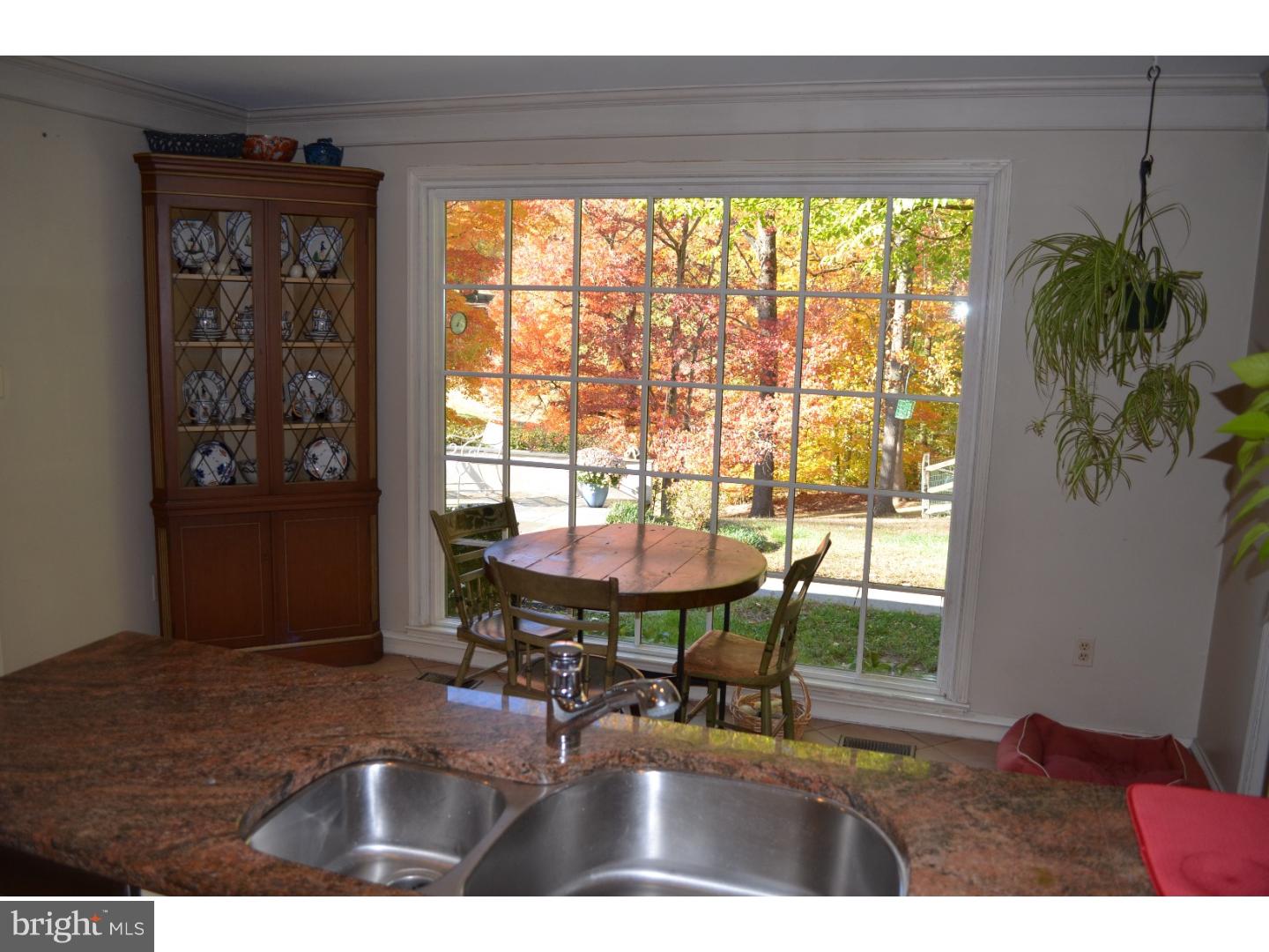 990 Brower Road Wayne, PA 19087 - Photo 10 of 25 View in Back