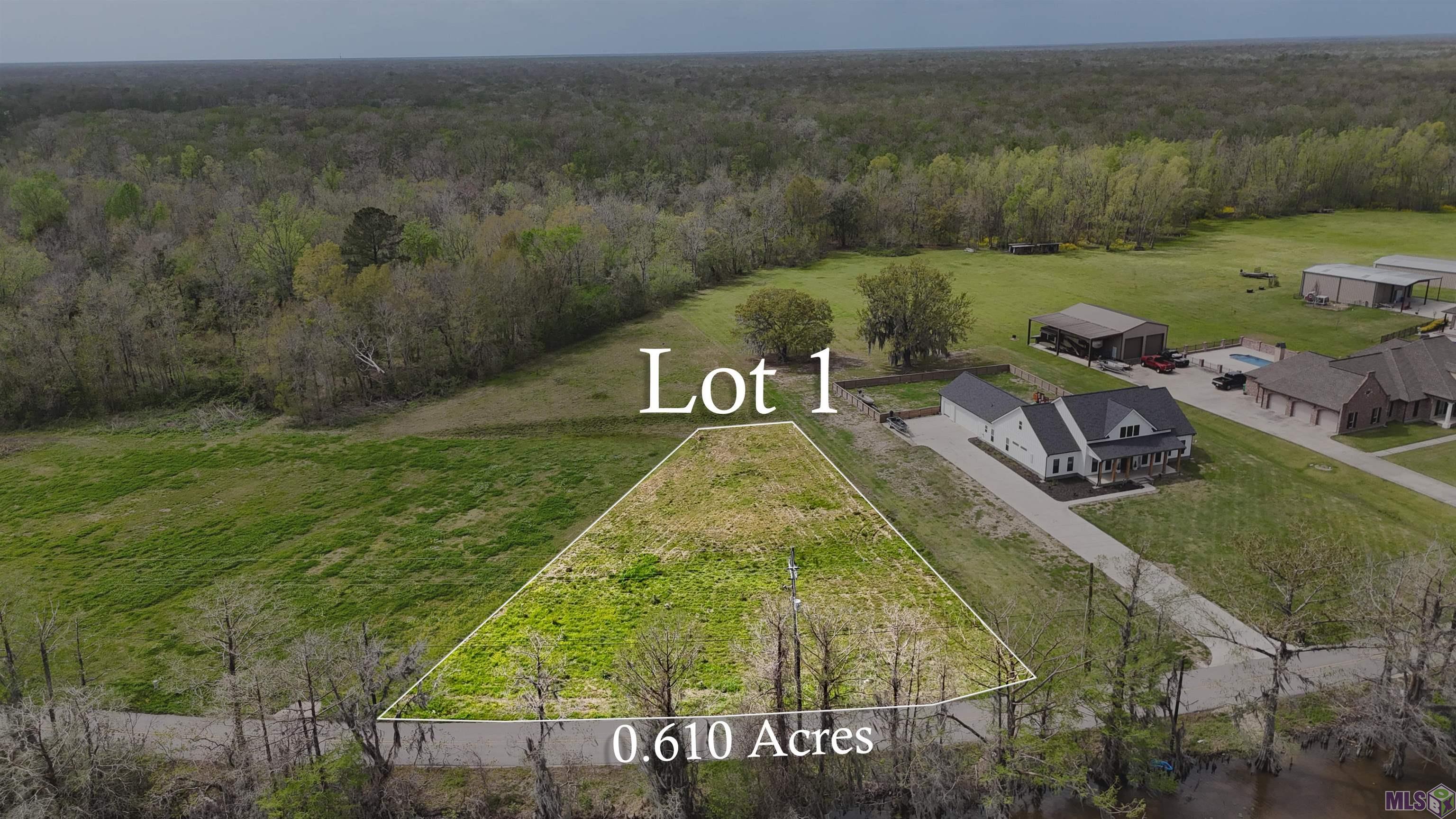 606 Bayou Drive Pierre Part, LA 70339 - Photo 4 of 8