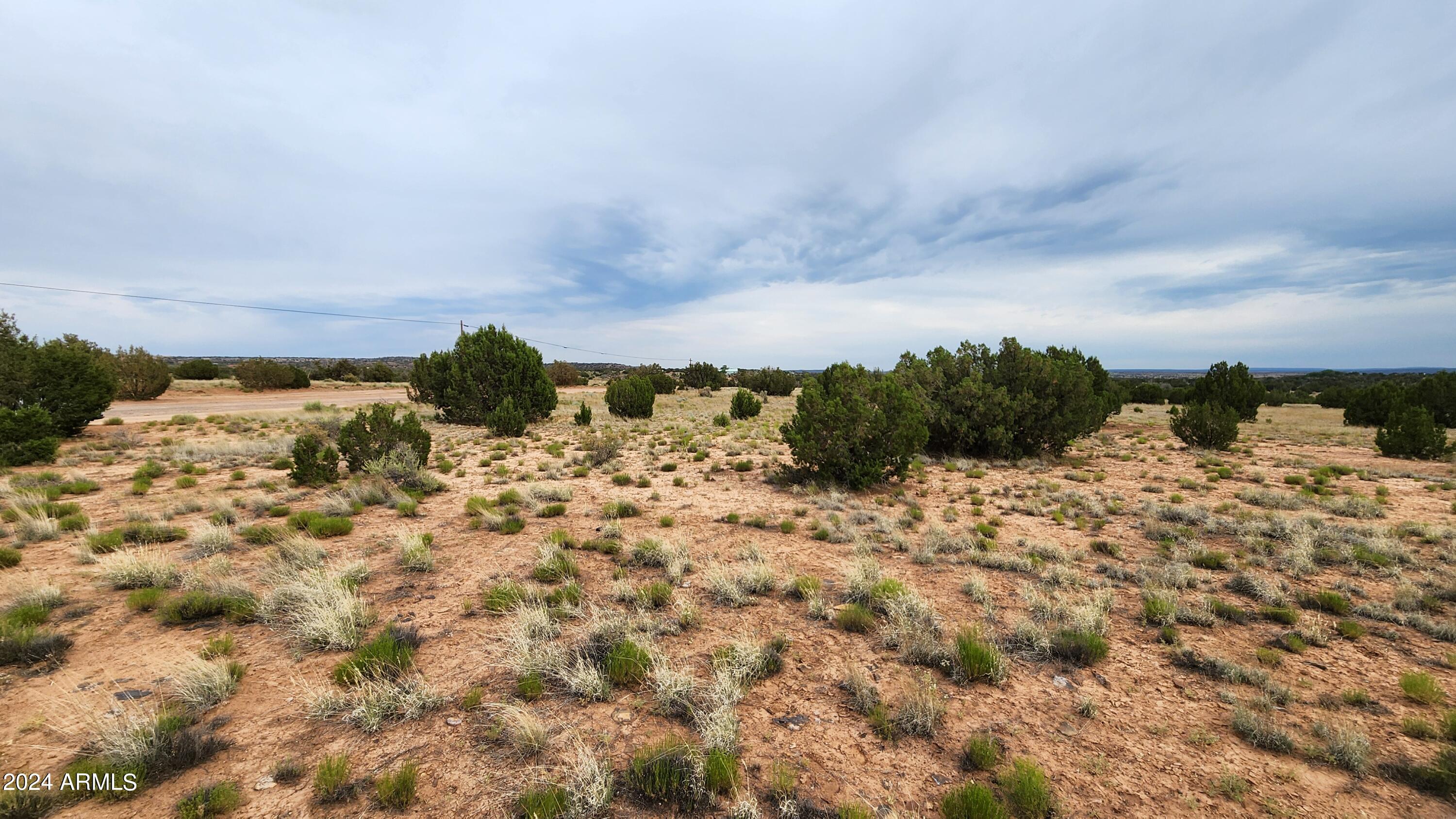 3844 Clyde Road Snowflake, AZ 85937 - Photo 13 of 32 1000008118