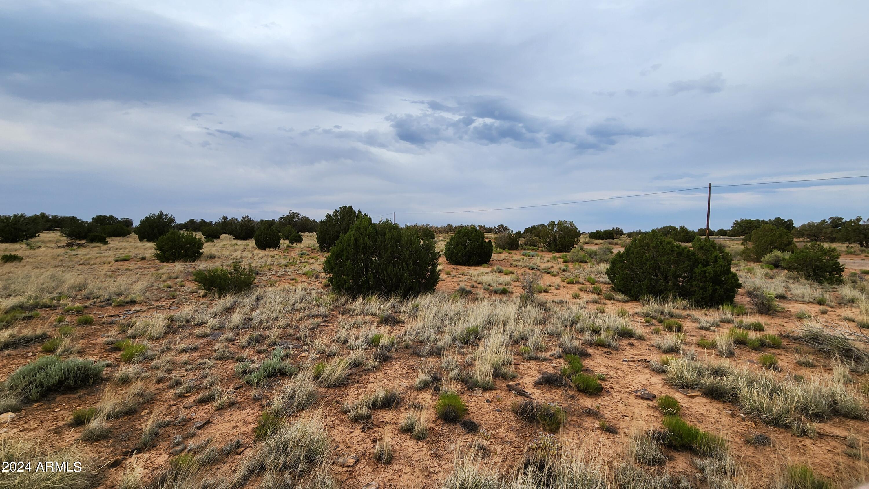 3844 Clyde Road Snowflake, AZ 85937 - Photo 15 of 32 1000008116
