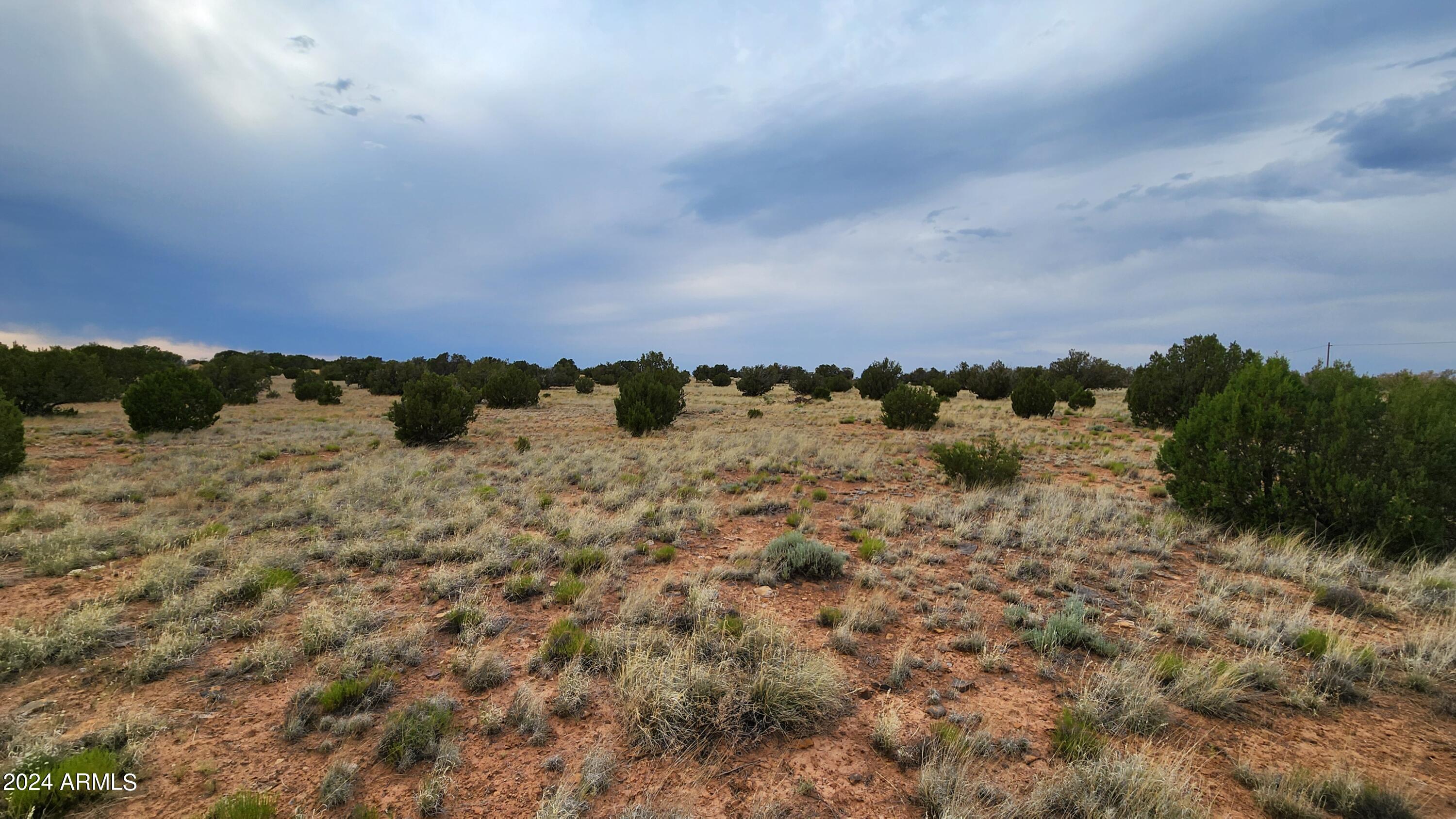 3844 Clyde Road Snowflake, AZ 85937 - Photo 16 of 32 1000008115
