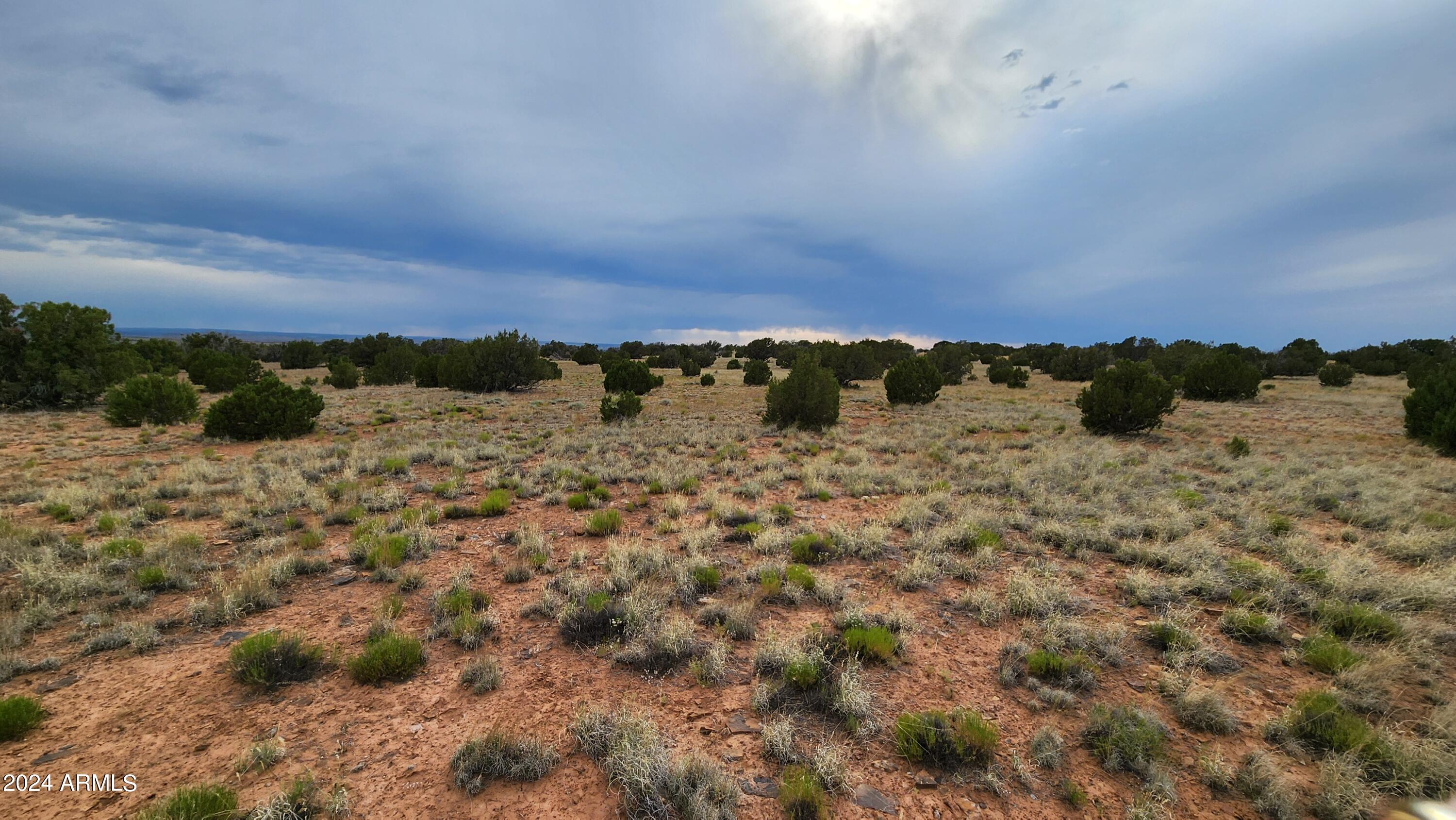3844 Clyde Road Snowflake, AZ 85937 - Photo 17 of 32 1000008114