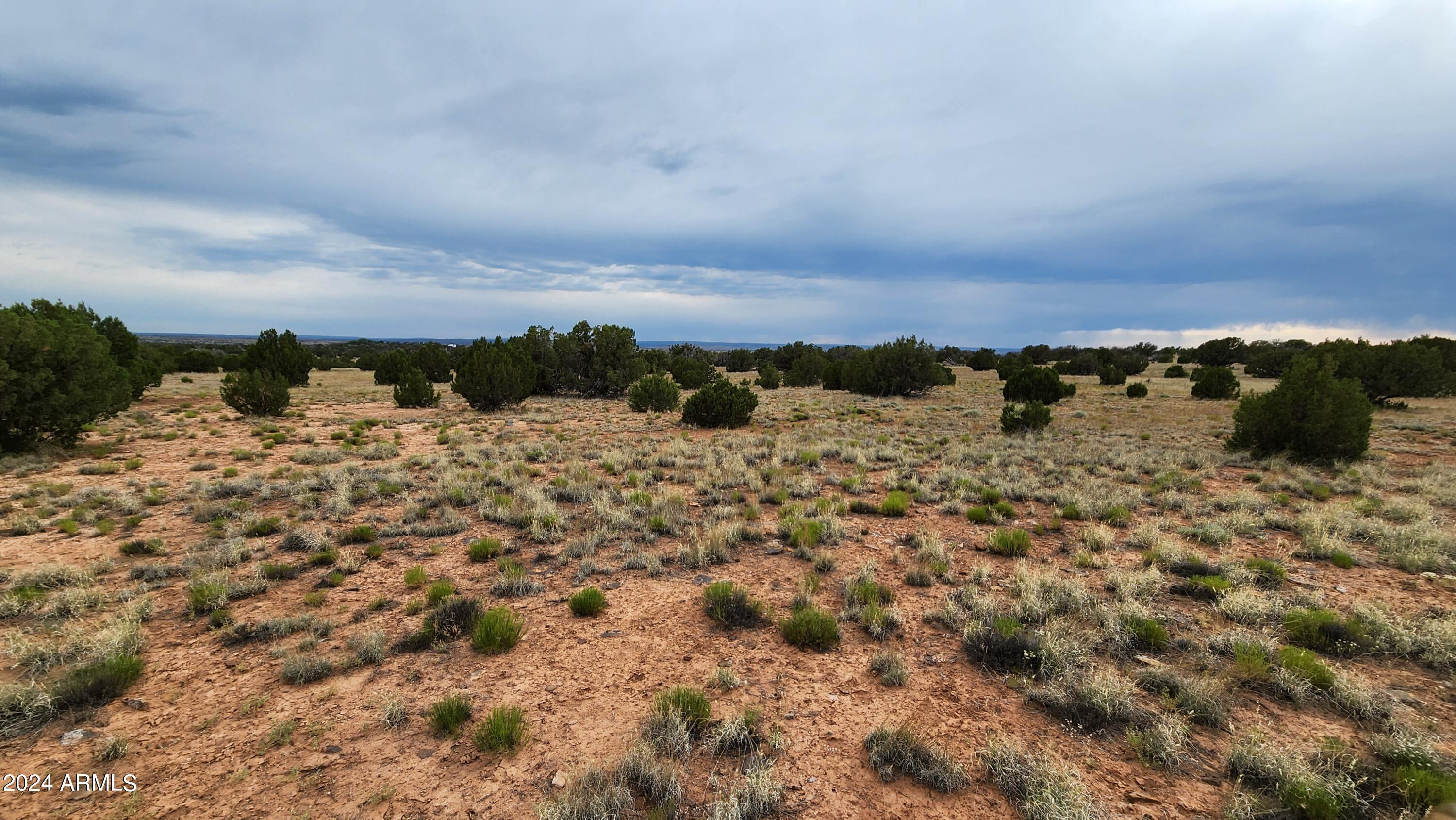 3844 Clyde Road Snowflake, AZ 85937 - Photo 18 of 32 1000008113