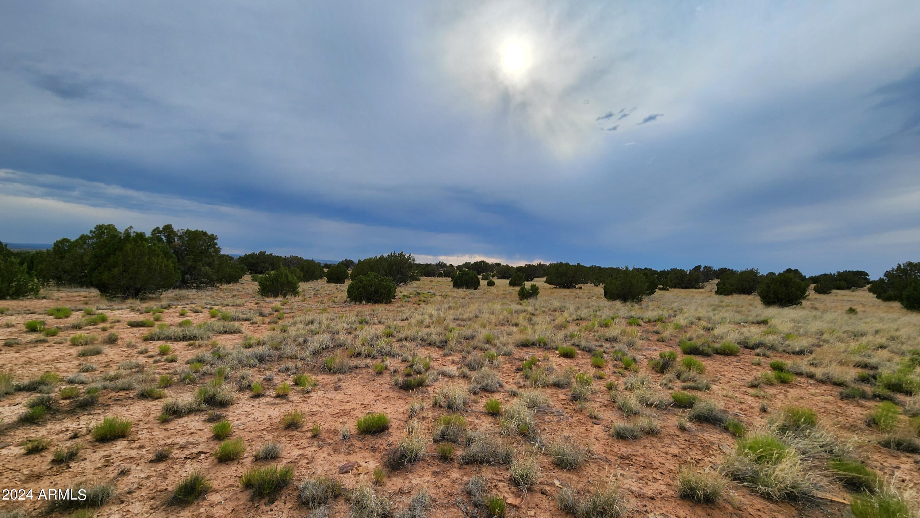 3844 Clyde Road Snowflake, AZ 85937 - Photo 19 of 32 1000008112