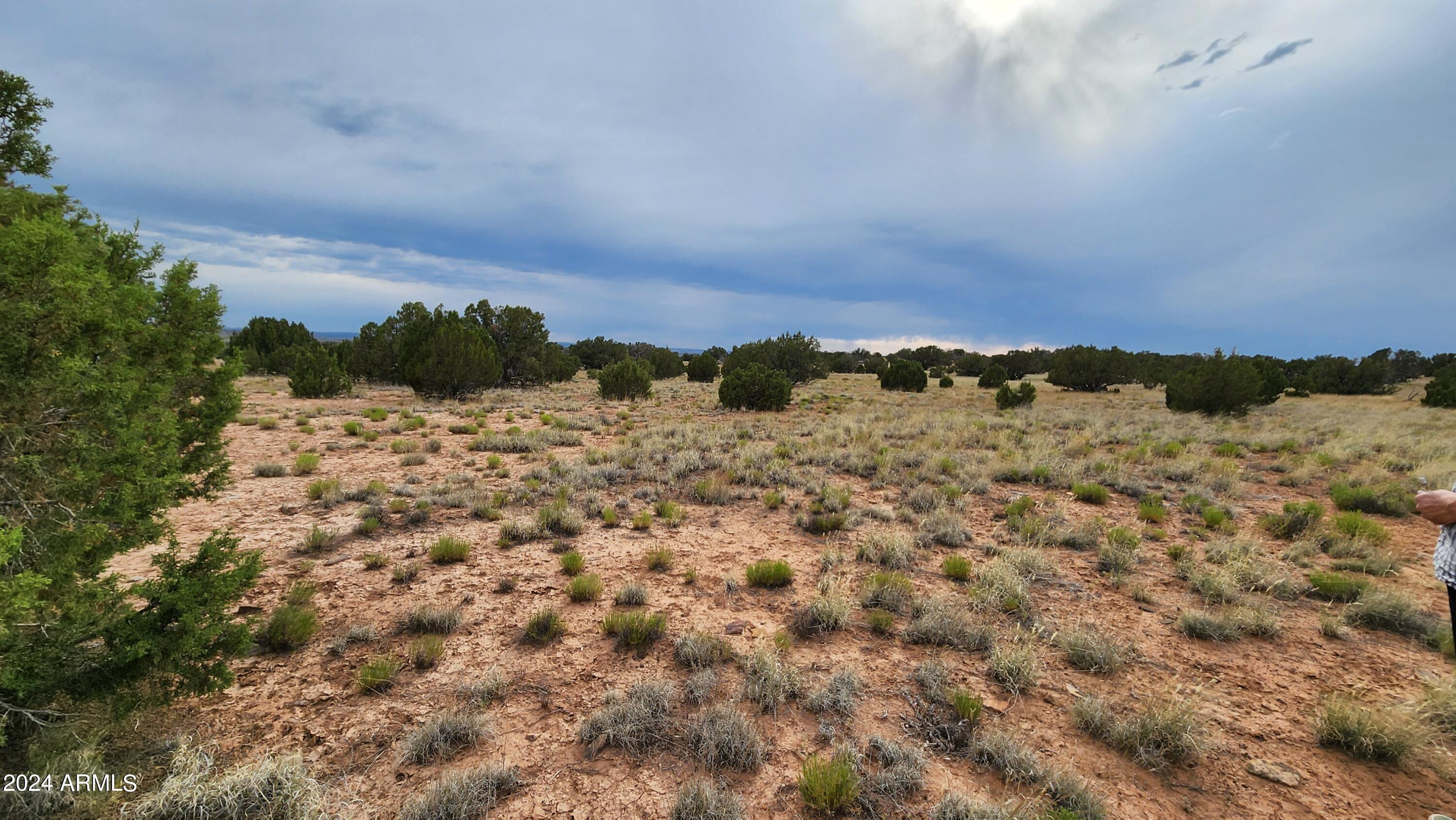 3844 Clyde Road Snowflake, AZ 85937 - Photo 20 of 32 1000008111