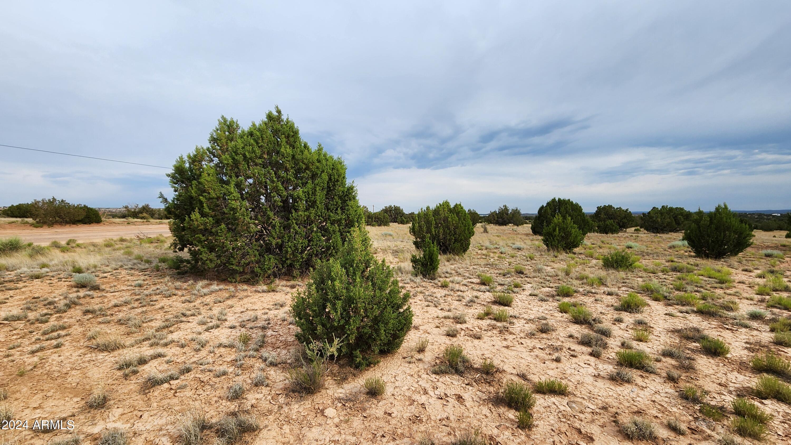 3844 Clyde Road Snowflake, AZ 85937 - Photo 21 of 32 1000008110