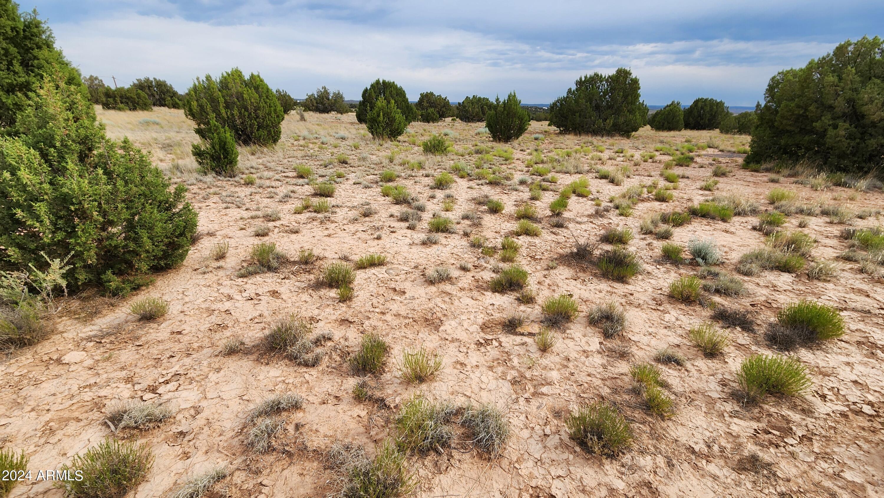 3844 Clyde Road Snowflake, AZ 85937 - Photo 22 of 32 1000008109