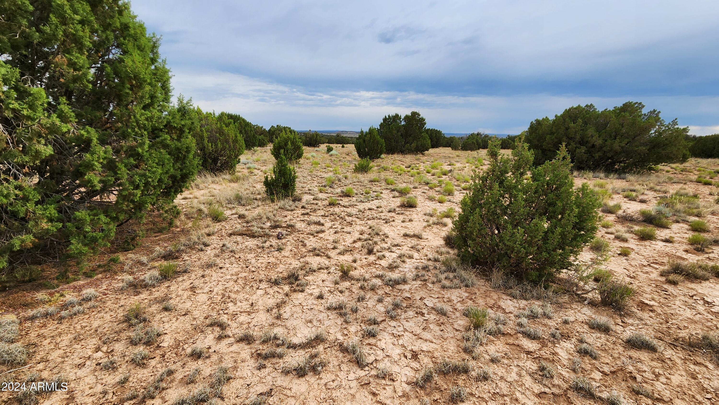 3844 Clyde Road Snowflake, AZ 85937 - Photo 24 of 32 1000008107