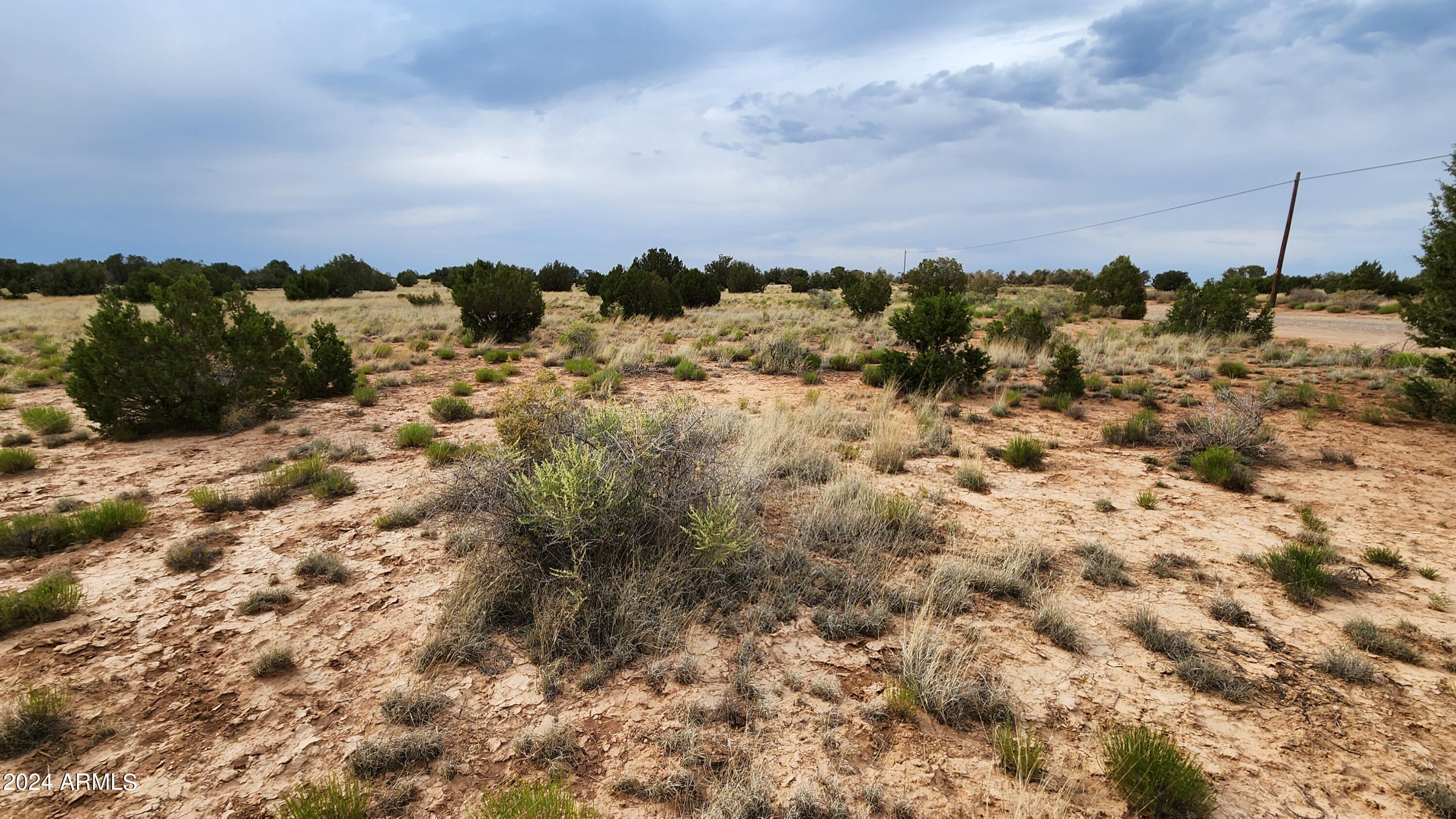 3844 Clyde Road Snowflake, AZ 85937 - Photo 25 of 32 1000008106
