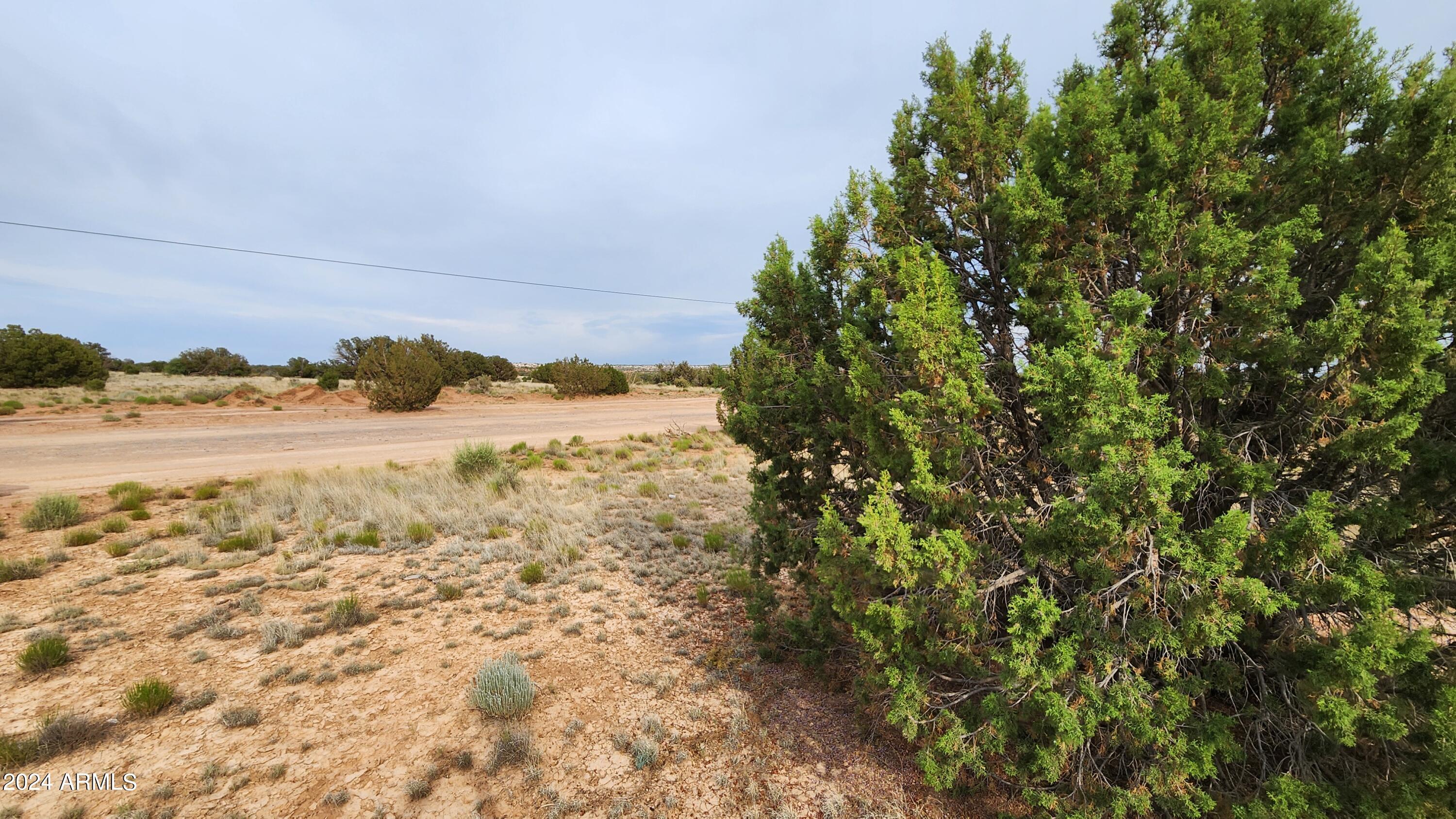 3844 Clyde Road Snowflake, AZ 85937 - Photo 26 of 32 1000008105