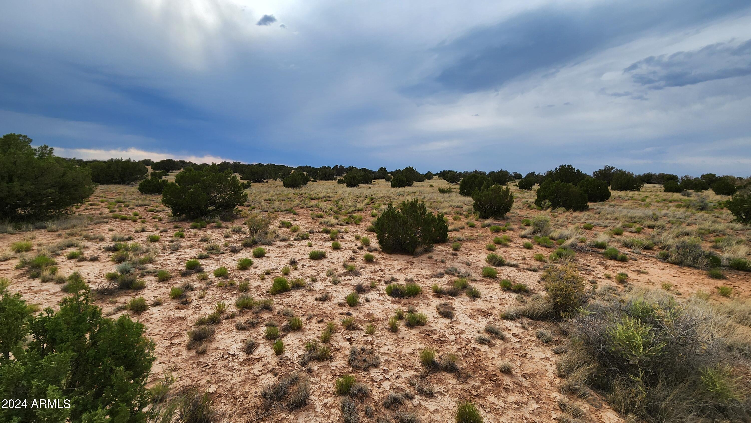 3844 Clyde Road Snowflake, AZ 85937 - Photo 27 of 32 1000008103