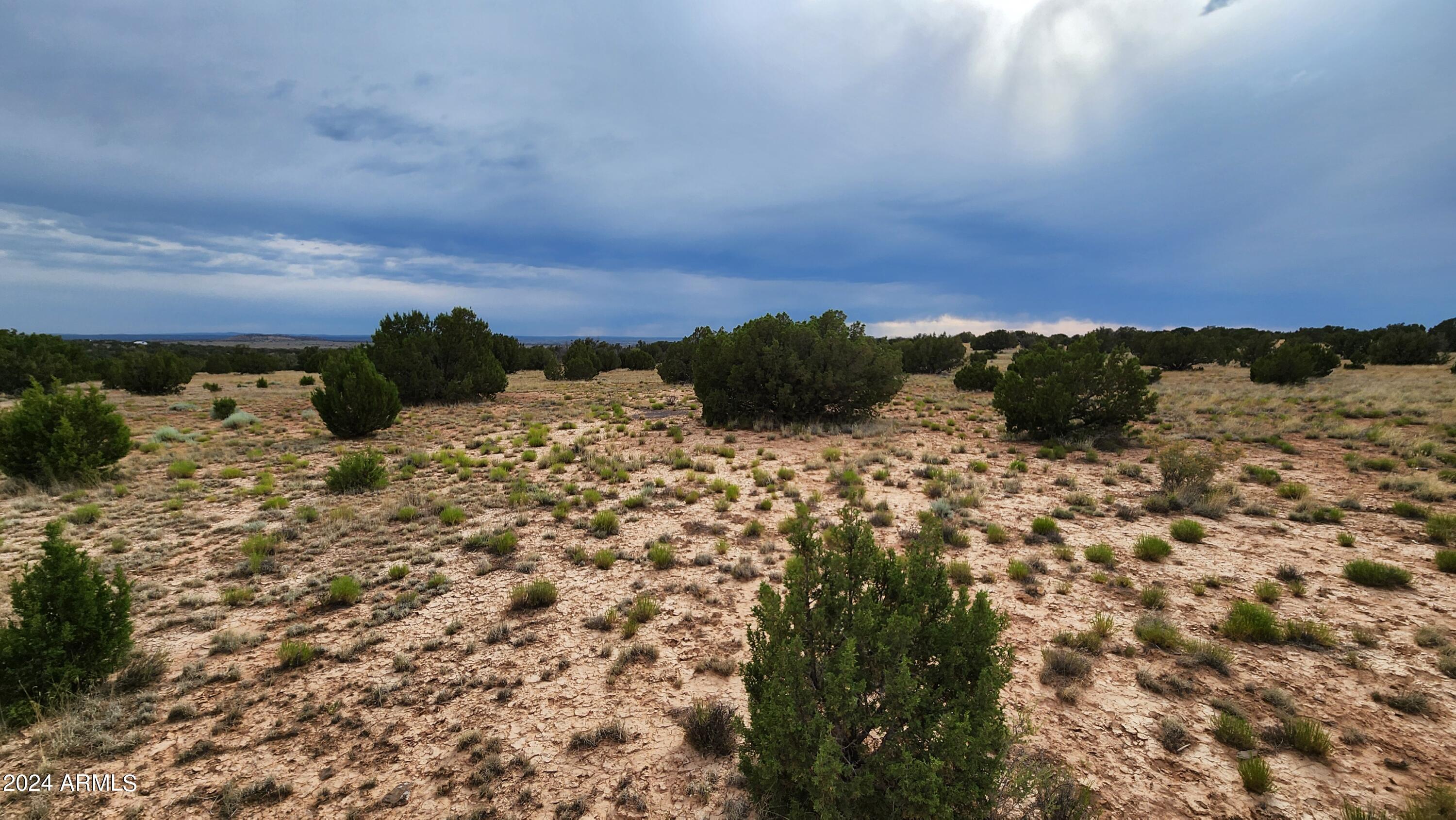 3844 Clyde Road Snowflake, AZ 85937 - Photo 28 of 32 1000008102