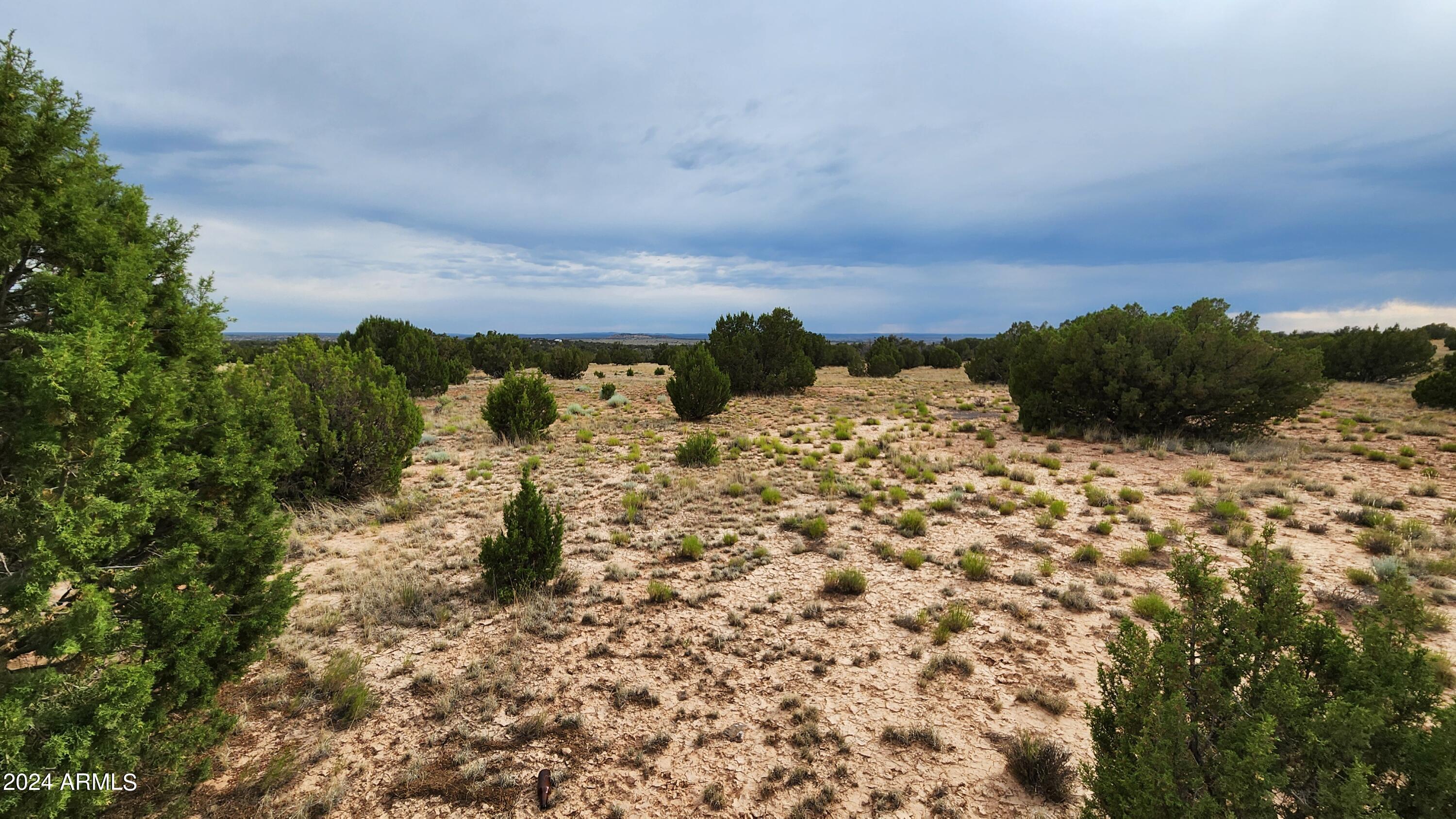 3844 Clyde Road Snowflake, AZ 85937 - Photo 29 of 32 1000008101