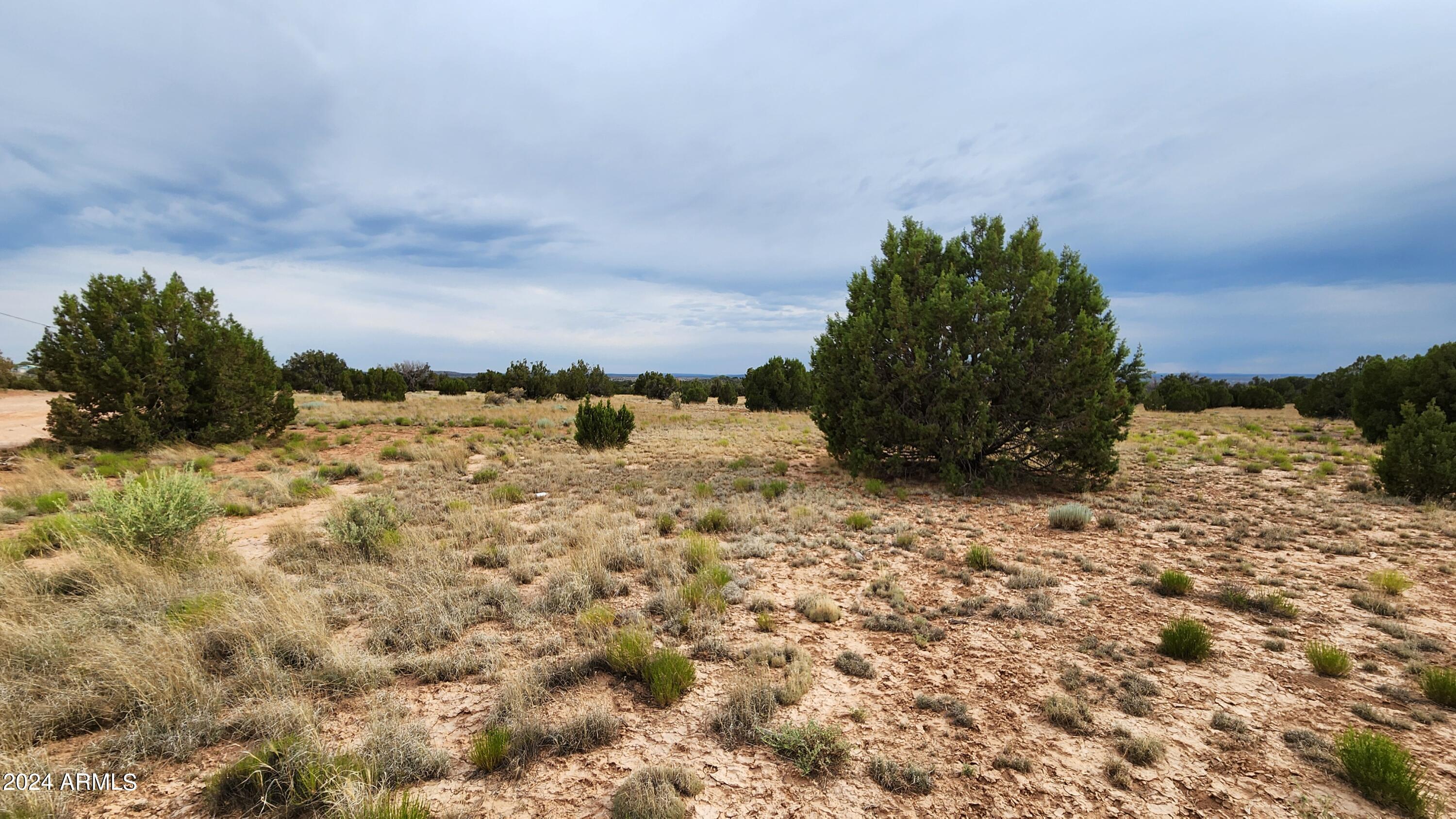 3844 Clyde Road Snowflake, AZ 85937 - Photo 30 of 32 1000008100