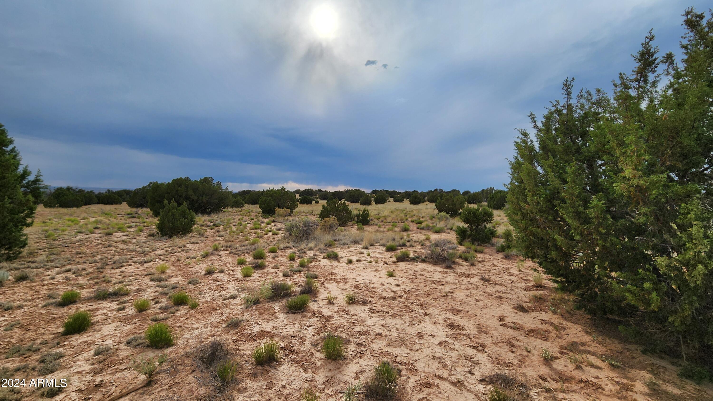 3844 Clyde Road Snowflake, AZ 85937 - Photo 31 of 32 1000008099