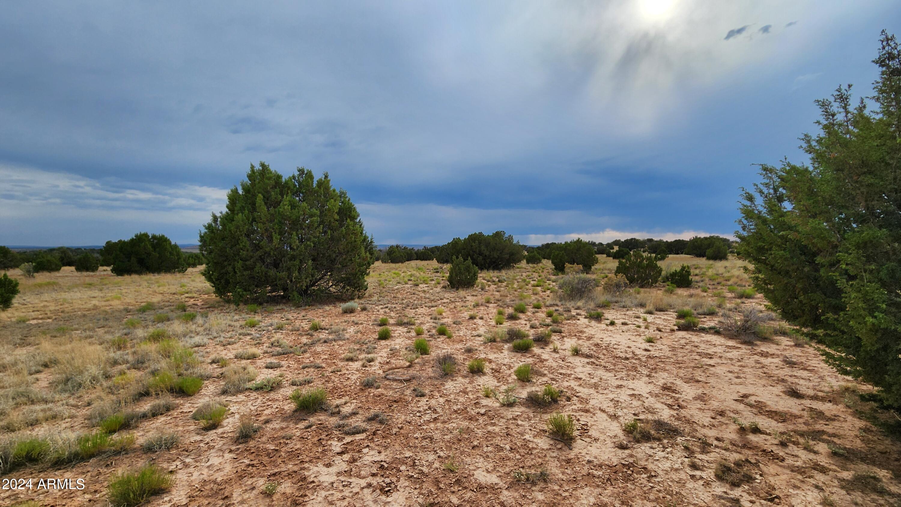 3844 Clyde Road Snowflake, AZ 85937 - Photo 32 of 32 1000008098