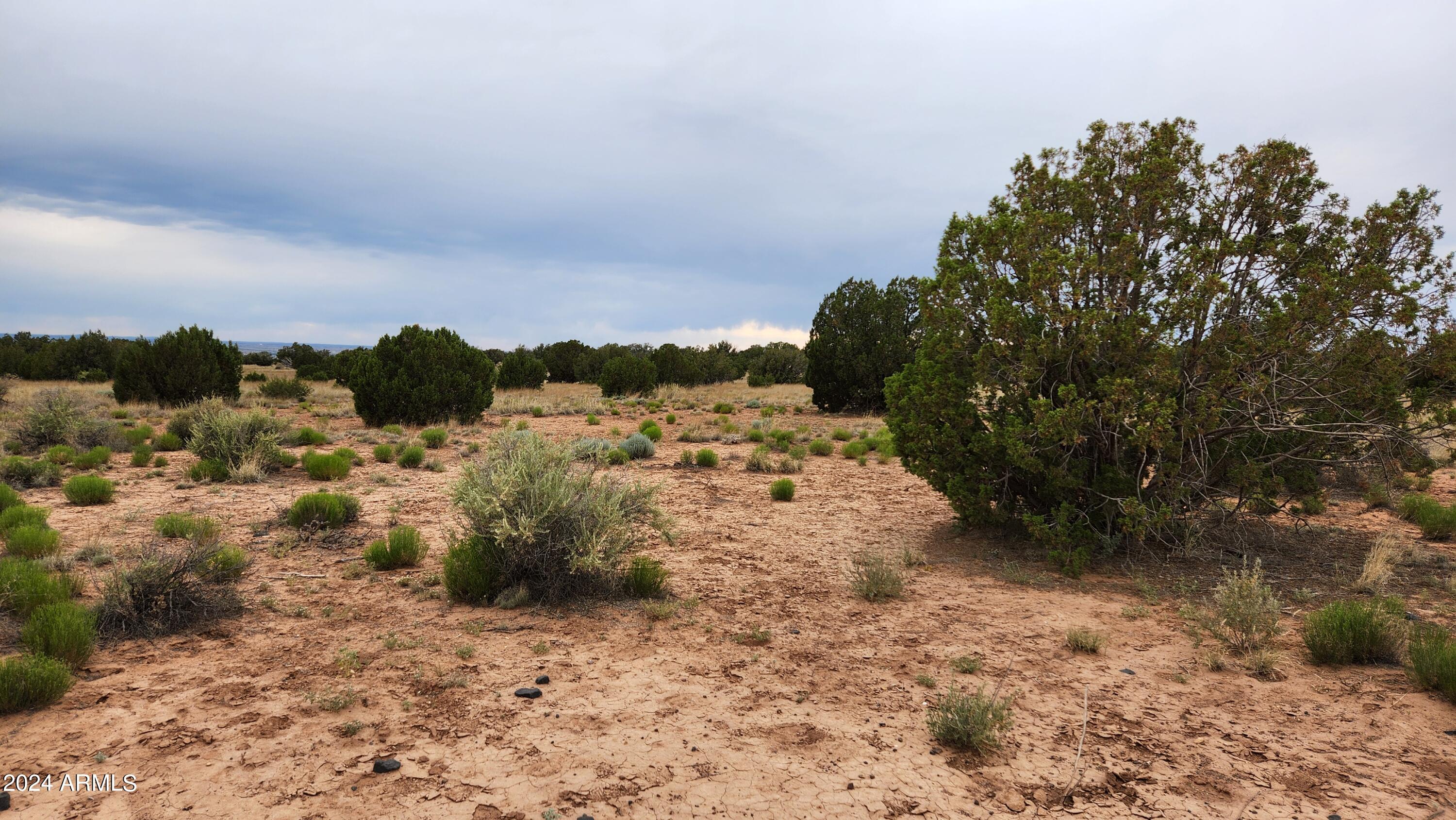 3844 Clyde Road Snowflake, AZ 85937 - Photo 5 of 32 20240613_170813