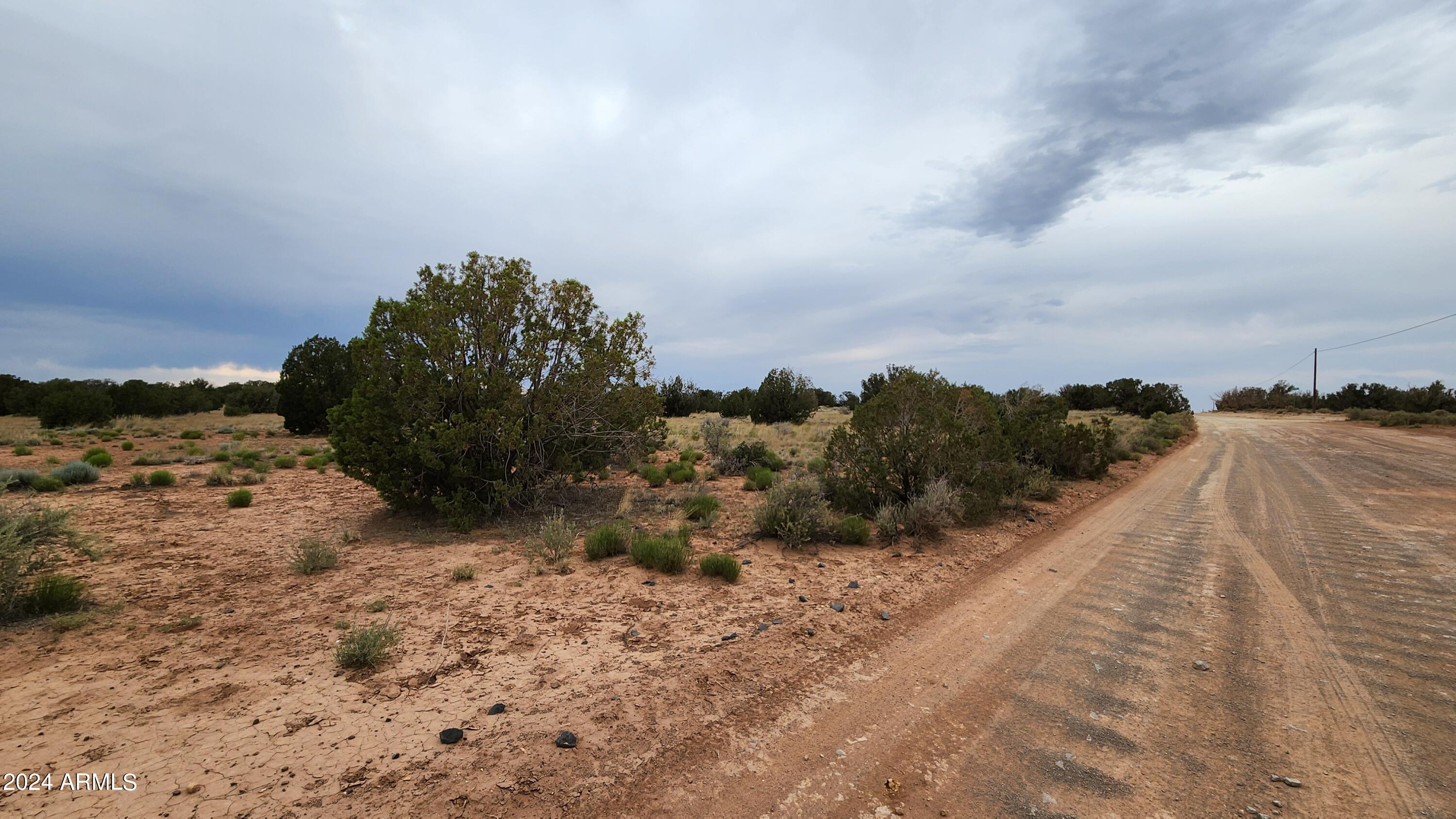 3844 Clyde Road Snowflake, AZ 85937 - Photo 6 of 32 20240613_170807