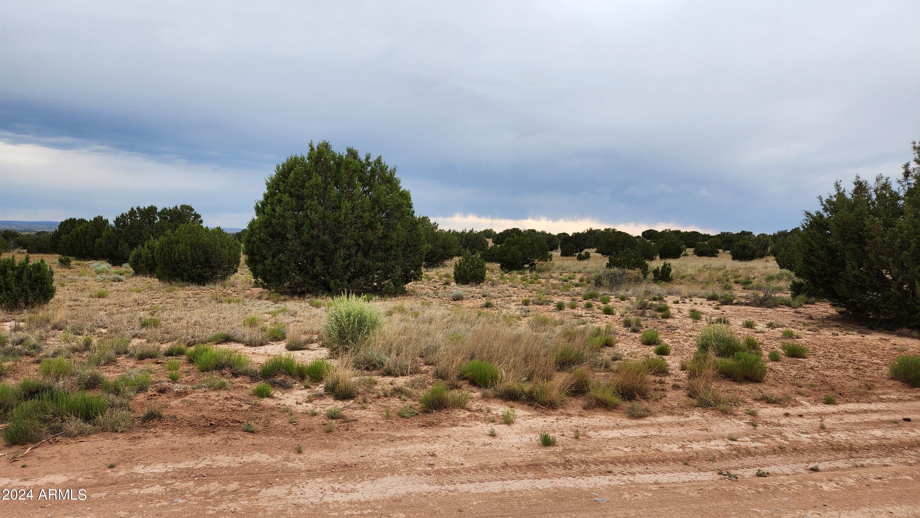 3844 Clyde Road Snowflake, AZ 85937 - Photo 8 of 32 20240613_170706