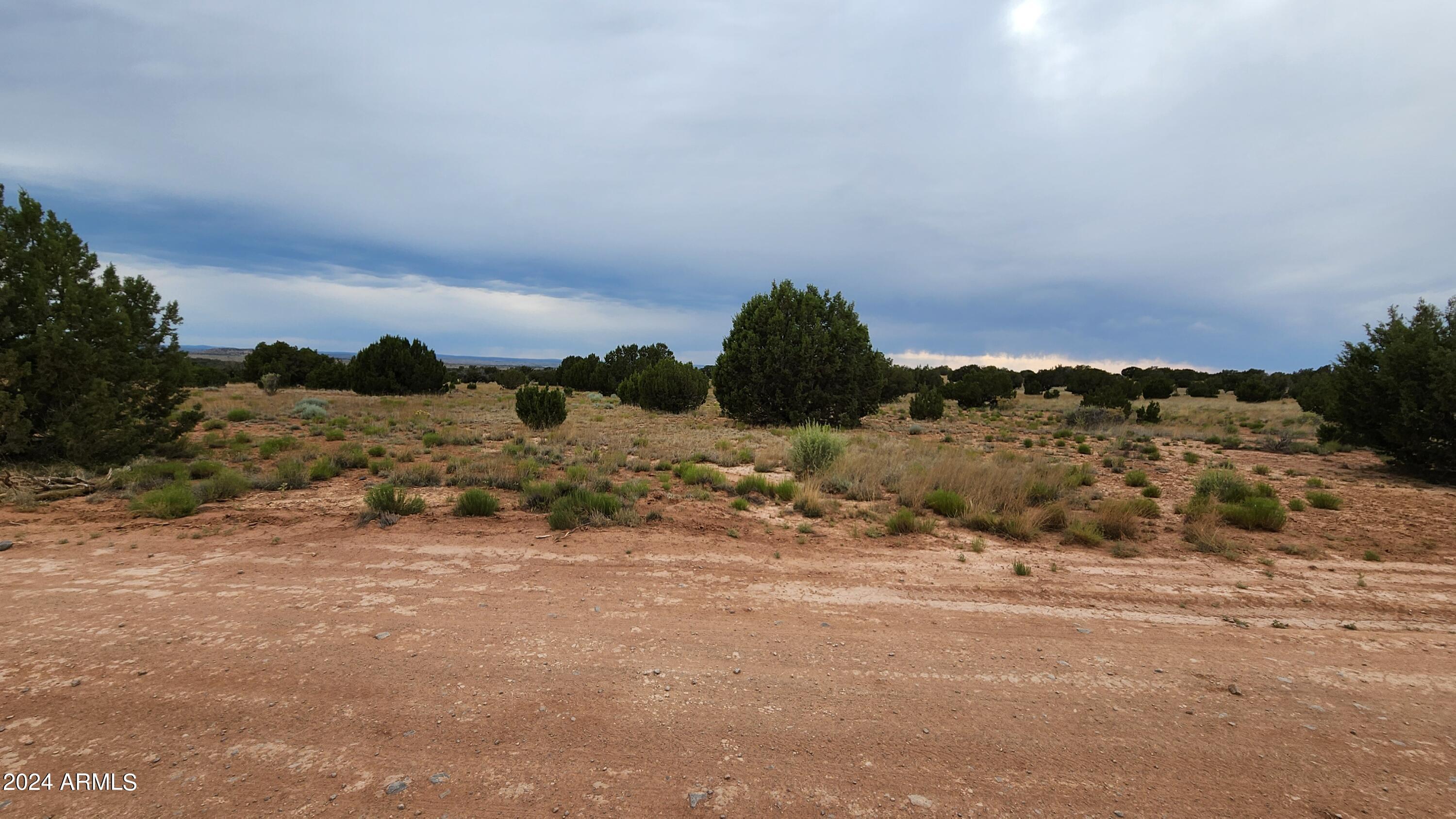 3844 Clyde Road Snowflake, AZ 85937 - Photo 9 of 32 20240613_170656