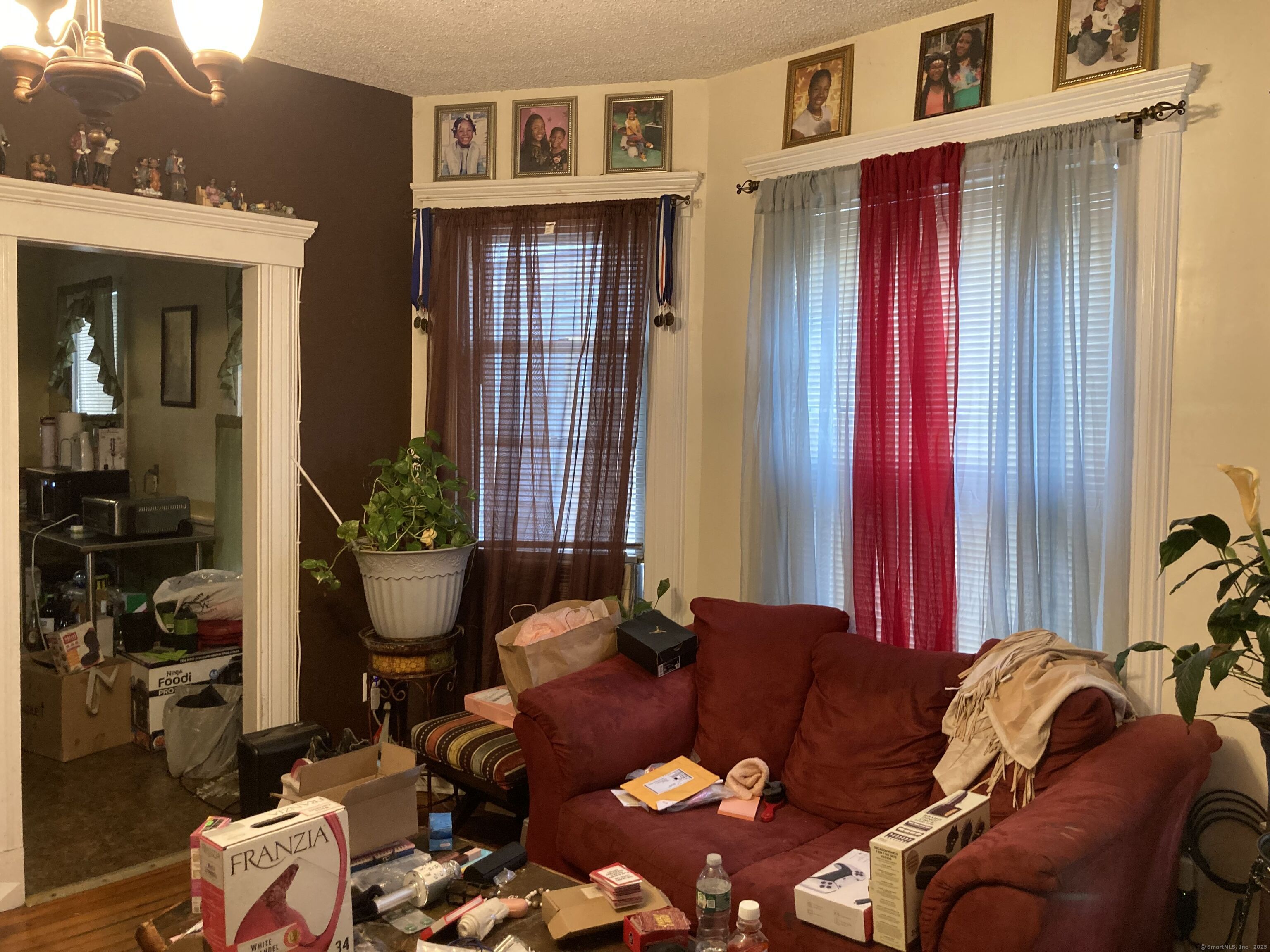 225 Winthrop Avenue New Haven, CT 06511 - Photo 16 of 36 a living room with furniture or couch and a potted plant