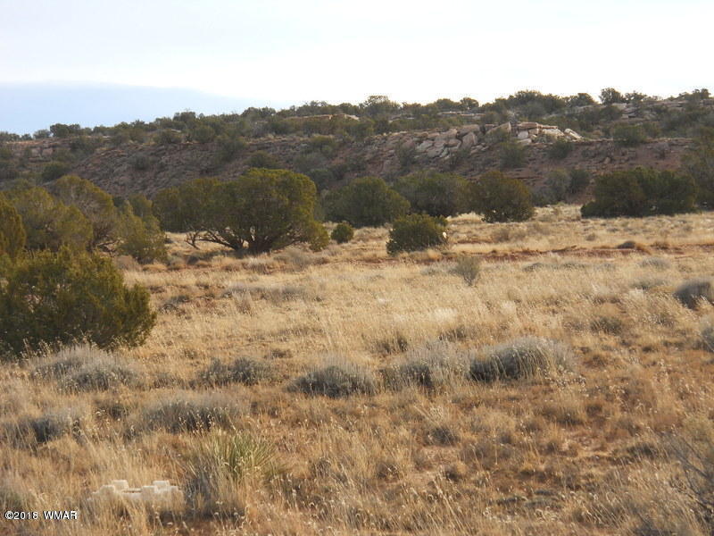 3995 Cortez Road Snowflake, AZ 85937 - Photo 1 of 17 a view of a lake with mountains in the background