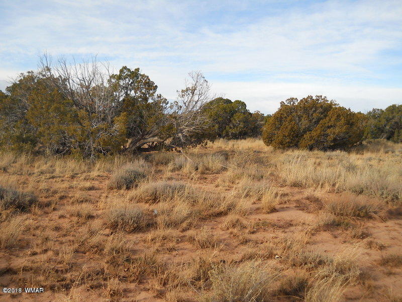 3995 Cortez Road Snowflake, AZ 85937 - Photo 13 of 17