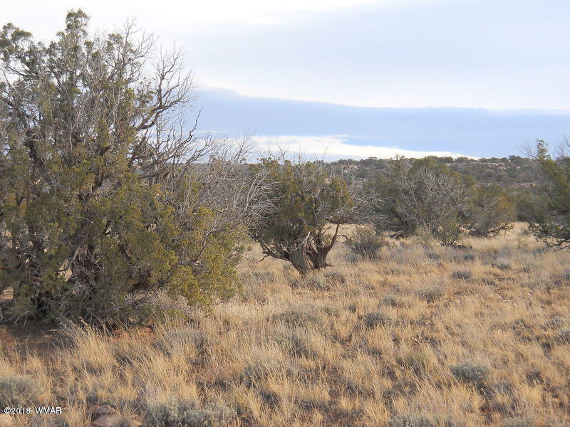 3995 Cortez Road Snowflake, AZ 85937 - Photo 14 of 17 a view of a dry yard with mountains in the background