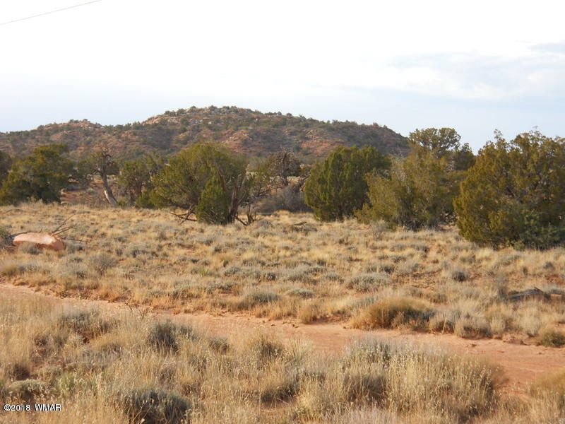 3995 Cortez Road Snowflake, AZ 85937 - Photo 15 of 17 a view of a dry yard