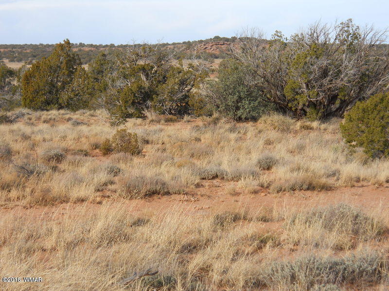3995 Cortez Road Snowflake, AZ 85937 - Photo 16 of 17 a view of a dry yard