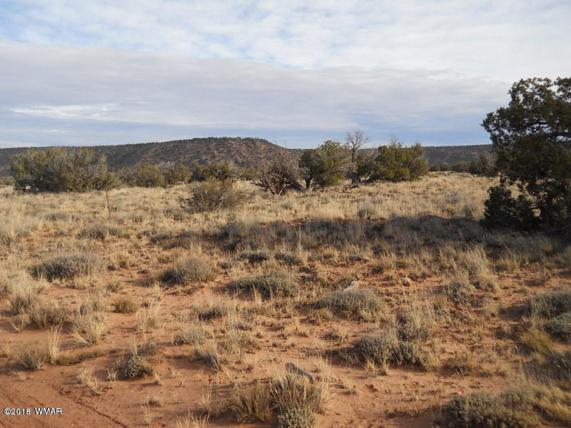 3995 Cortez Road Snowflake, AZ 85937 - Photo 17 of 17 a view of lake and mountain