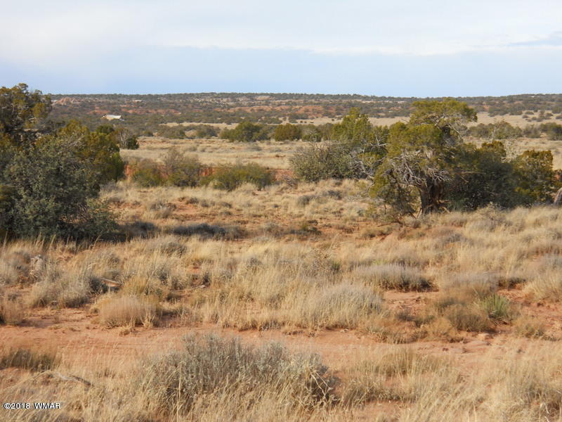 3995 Cortez Road Snowflake, AZ 85937 - Photo 5 of 17 a view of city and ocean